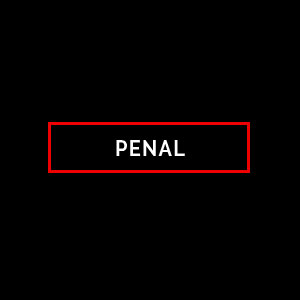 REDSUA abogados. Áreas: Penal